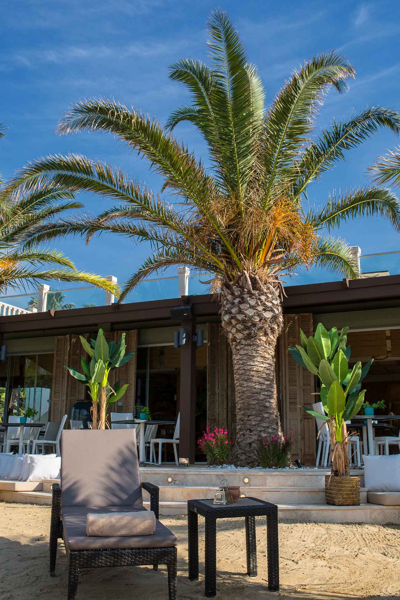 Princess-Artemisia-Otel-Plaj-Tatili